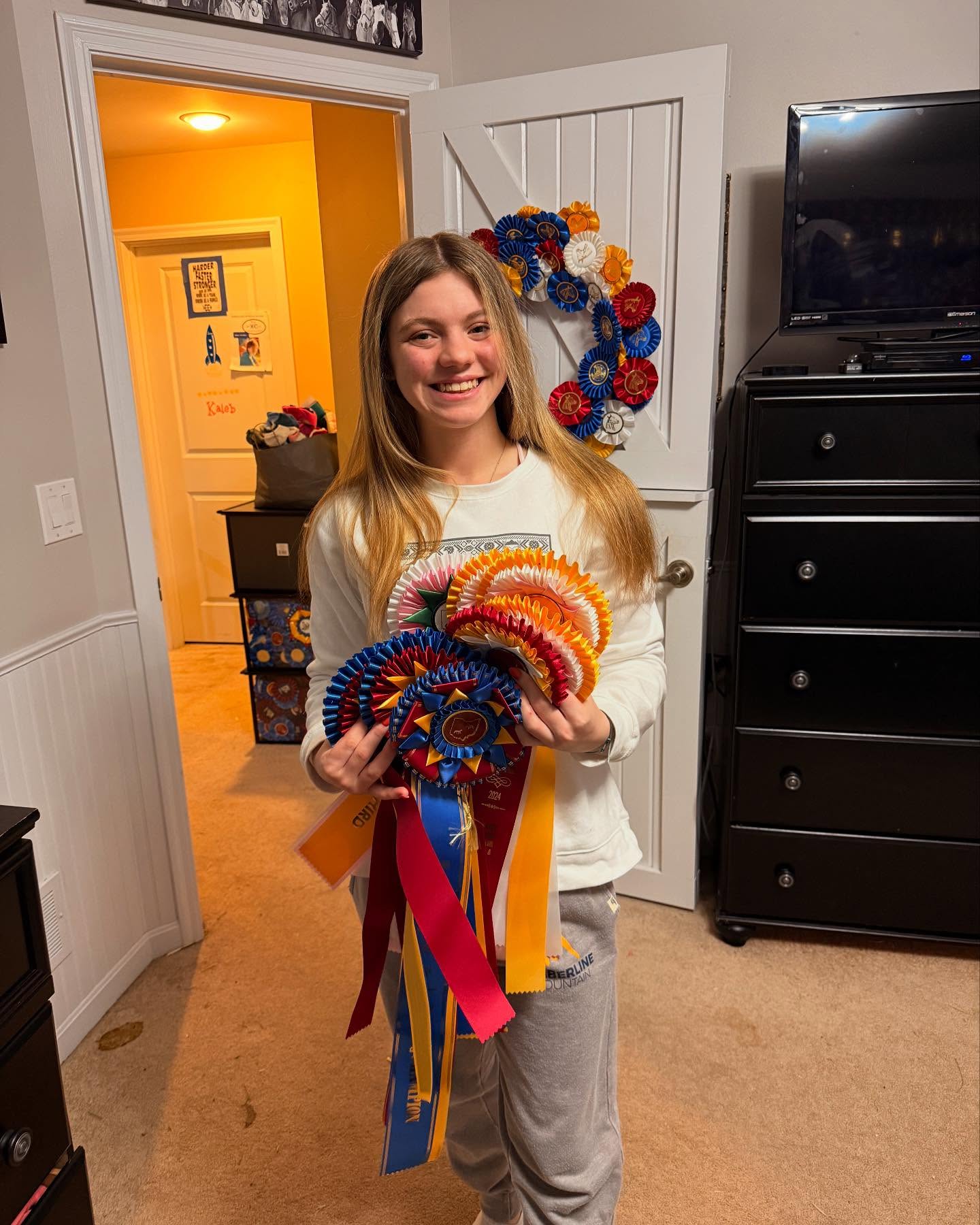 Champion rosettes and a ribbon wreath displayed at home.