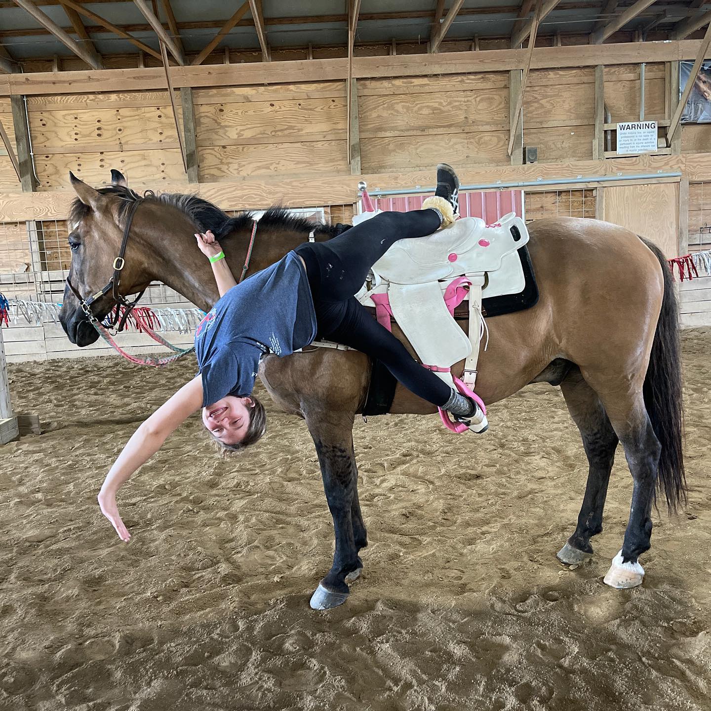 Rylee doing a playful layback trick off a white western saddle on a buckskin in the arena.