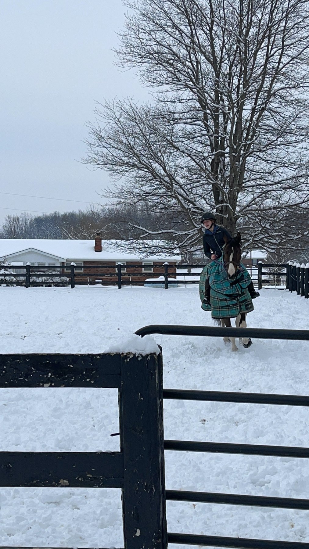 Rylee riding a blanketed pinto across the snowy paddock lane.