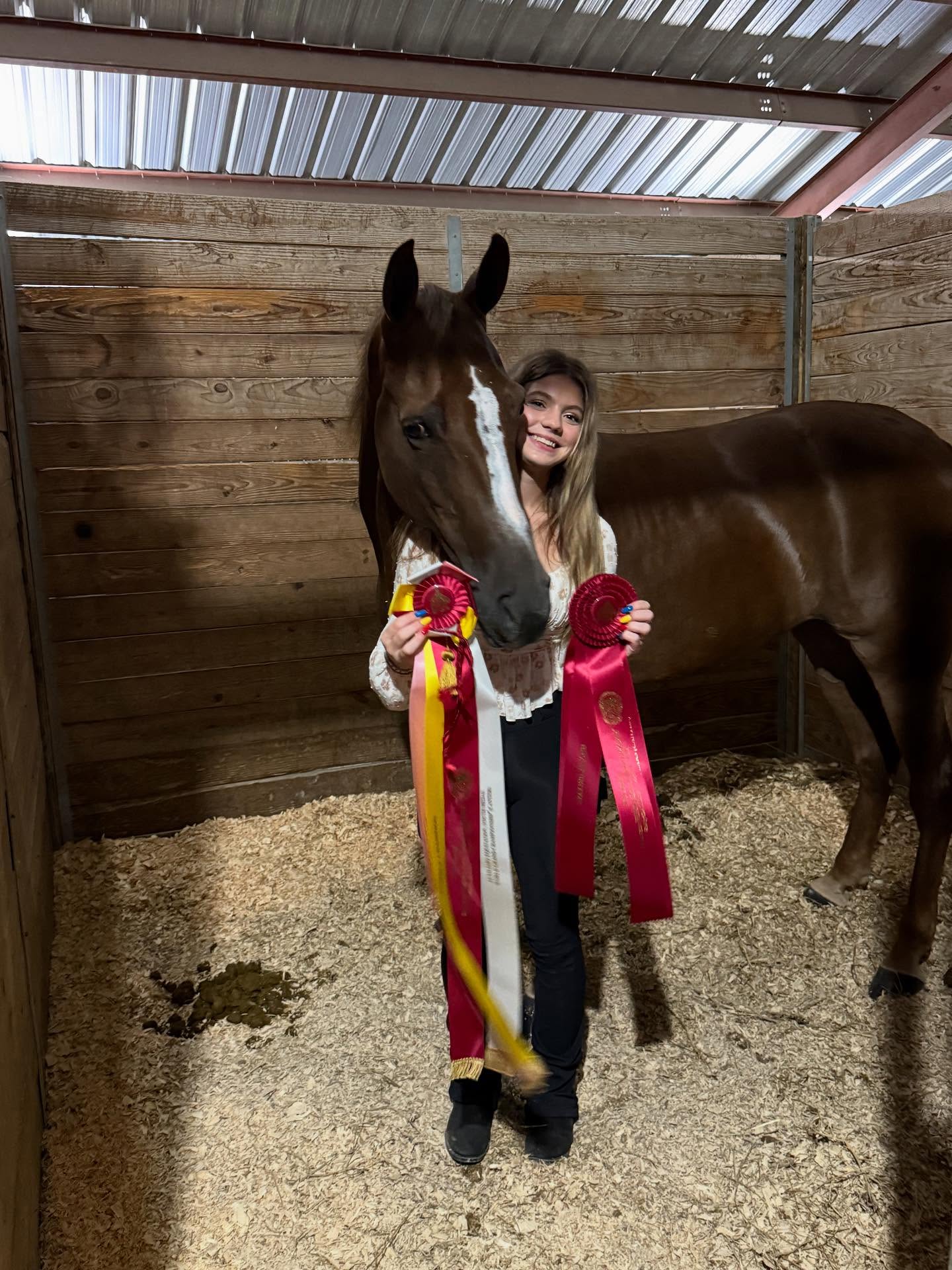 Rylee holding championship and reserve ribbons beside a blazed chestnut in the stall.
