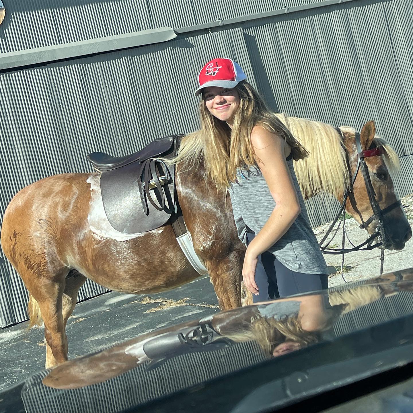 Rylee in a trucker cap beside a saddled, body-clipped pony, shot through the car window.
