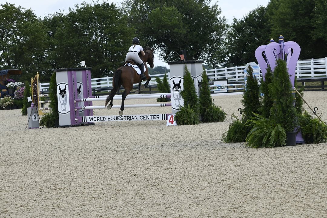 Rylee mid-fence on a bay jumper at the World Equestrian Center, seen from behind.
