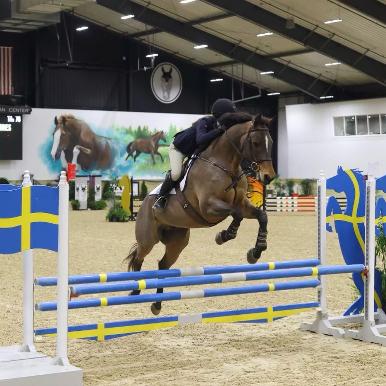 Rylee in clean jumping form over a Swedish-flag oxer at the World Equestrian Center.