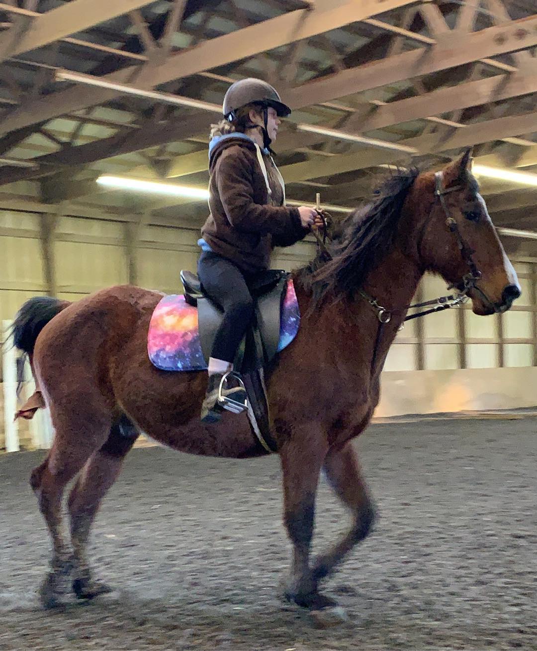 Rylee schooling a shaggy bay in a galaxy saddle pad indoors in winter.
