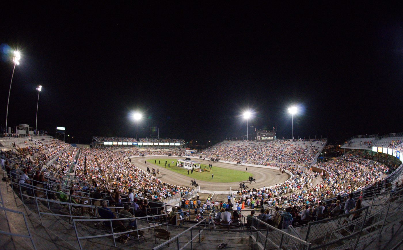 Tennessee Walking Horse National Celebration Grounds in Shelbyville, TN