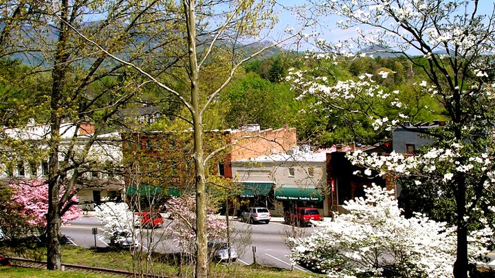 Tryon International Equestrian Center in Mill Spring, NC